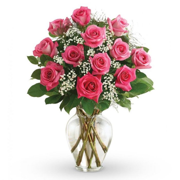 Dozen Hot Pink Rose Vase